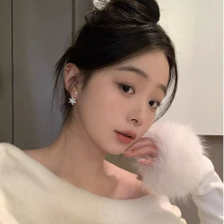 合金合成锆石耳饰 女小众爆款八芒星耳钉高级感新款大气气质耳环