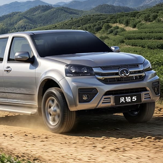 Great Wall Motors 长城汽车 风骏5 26款 2.0T 两驱长箱进取型