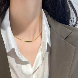 钛钢项链 小众高级感蛇骨项链女锁骨链不掉色轻奢设计新款气质ins