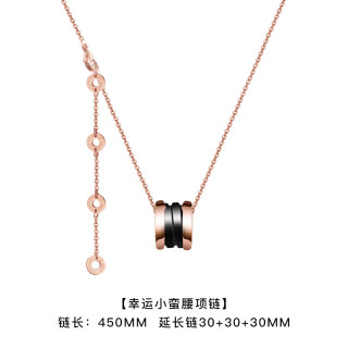 钛钢项链 锁骨链钛钢小马项链时尚百搭小蛮腰小众设计夏季项链女