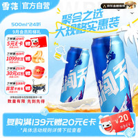 雪花 BEER 雪花 SNOWBEER BEER BEER 勇闯天涯 啤酒 500ml*24听