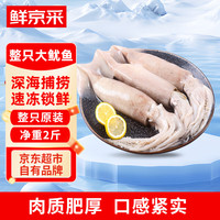 鲜京采 阿根廷鱿鱼整条 净重2斤 3-4条装 冷冻海鲜