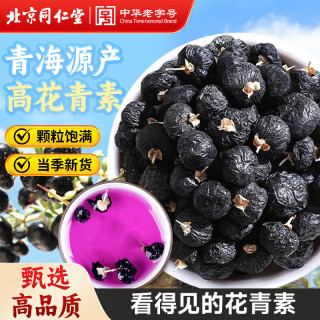PLUS会员：同仁堂 黑枸杞青海柴达木免洗黑枸杞子茶花青素泡水养生茶礼品260g
