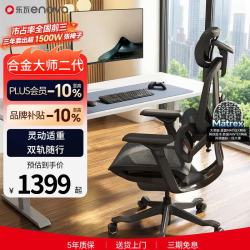 ENOVA 乐瓦合金大师2代 人体工学电脑椅