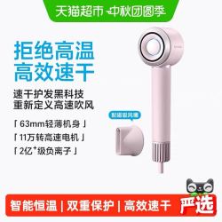 飞科 高速吹风机家用负离子FH6371