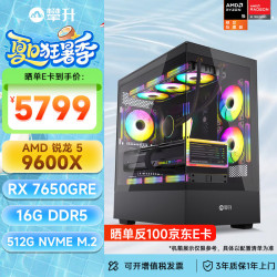 七彩虹 AMD 游戏电竞 台式机电脑组装机+显卡+内存