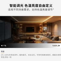 满星思维 S1pro 米家智能Mesh2.0 语音无极调光 LED灯带 24v