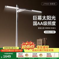 徕美视 台灯屏幕挂灯 显示器护眼学习 全光谱电脑阅读学习护眼儿童80cm L1 夹座版银色/悬臂调节/2500LX