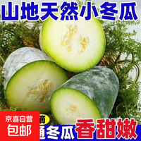 京喜 河南新鲜现摘迷你冬瓜 青皮挂霜冰川毛带箱 火锅煲汤炒菜 带箱 2斤