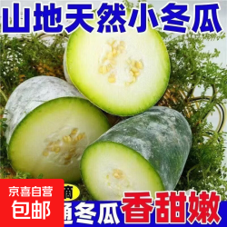 京喜 河南新鲜现摘迷你冬瓜 青皮挂霜冰川毛带箱 火锅煲汤炒菜 带箱 2斤