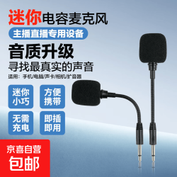 迷你麦克风无线收声麦 小型直插式米小蜜蜂户外扩音器手机直播话筒插声卡唱歌聊天电容麦 直插二级（扩音器款）