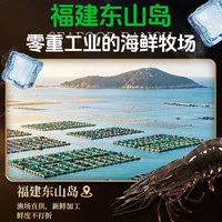 峰雷 黑虎虾 鲜活速冻 斑节对虾