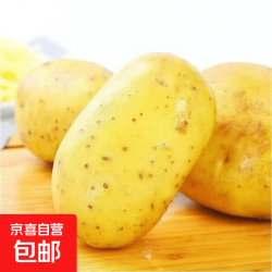 京喜 现挖黄心黄皮土豆新鲜蔬菜批发土豆粉糯农家洋芋便宜马铃薯蔬菜 带箱2斤装（小果单果50g起）