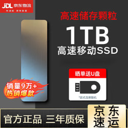 西数大容 1t高速读写ssd移动固态u盘大容量存储颗粒固态硬盘4t 黑色-标准版 1TB
