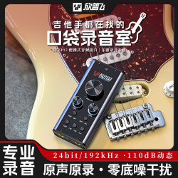 欣普飞 专业录音声卡手机电脑录音声卡内录伴奏外置声卡专用 SF2403单声卡标配