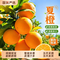 红源鲜 江西脐橙夏橙脐橙 3斤