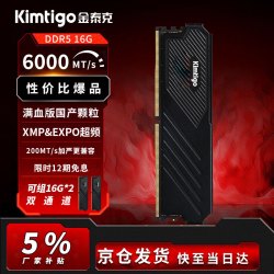 金泰克 台式电脑内存条DDR5 16G/32G 5600/6000海力士颗粒 速虎系列 高性价比 16GB 1条