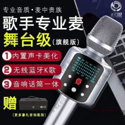 权盟 新款麦克风R2无线蓝牙话筒音响一体声卡直播手机K歌家用户外 标配版 _标配版