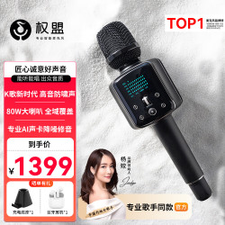 权盟 话筒音响一体自带声卡麦克风无线户外K歌直播 双娱麦（Q9升级版）