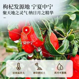 同仁堂 宁夏中宁特级大果枸杞子 520g