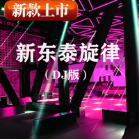 居道 东莞新东泰开场曲暖场曲完整版DJ打碟现场经典回忆舞曲车载u盘 的