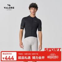 回声夏季透气速干公路自行车骑行服短袖上衣男士新薄款高弹力紧身 回声深灰男款短上衣 3XL