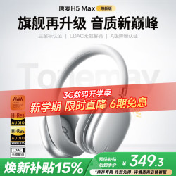 唐麦 H5Max 主动降噪 银色 蓝牙耳机