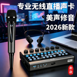 怡樂星 怡乐星R98PLUS专业声卡直播设备全套手机电脑通用高端无线麦克风抖音高级主播K歌录音全套2026新款 R98声卡+2个K15（灰）无线麦+2个无线耳机