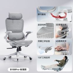 西昊 B100Pro电脑椅久坐舒适人体工学椅家用办公椅靠背椅电竞椅