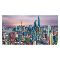 3D-JP 城市手绘高难度拼图3000片客厅装饰画 上海，浦东新貌H3890
