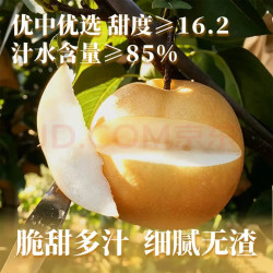 优鲜鸟 秋月梨新鲜水果5斤应季当季新鲜整箱5斤 产地直发 5斤