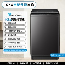 小天鹅 家用租房全自动波轮洗衣机10KG洗脱一体TB10V28DT