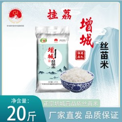 挂荔 增城丝苗米10KG广东优质大米20斤籼米长粒香新米包邮