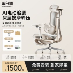 黑白调 E3 人体工学电脑椅