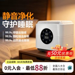 空气堡(AIRBURG)桌面空气净化器静音除甲醛小型净化机