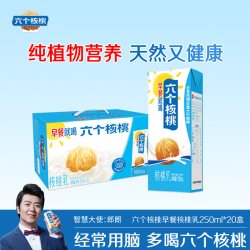 六个核桃 植物蛋白 核桃乳饮料