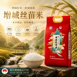 挂荔 牌甄选增城丝苗米5KG长粒香软广东大米10斤地标产品新米包邮
