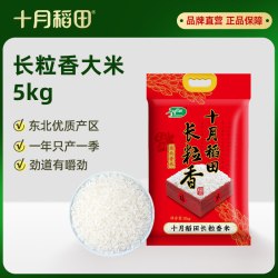 十月稻田 长粒香大米10kg东北粳米香米饭官方优质新米正品炒饭一级