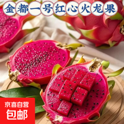 京喜加 广西红心火龙果尝鲜装小果1斤半带箱/单果200g+（9.9包邮页面10/14/18点抢券）