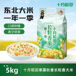 十月稻田 年新米 长粒香米