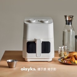 欧莱克 立时空气炸锅家用5L大容量免翻面可视化大型电炸锅炸烤箱
