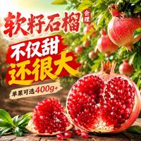今鲜果 四川软籽石榴 单果200g+ 净重4.5斤+