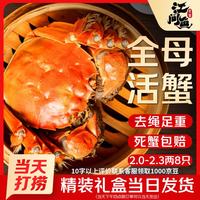 江问鱼 鲜活大闸蟹螃蟹全母足斤足两生鲜2.3-2.6两 8只装 源头直发 全母蟹2.3-2.6两 8只装