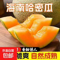 京喜 哈密瓜  脆甜多汁软糯香甜蜜西州密瓜 新鲜采摘应季生鲜水果 海南哈密瓜带箱5-6斤（2-3个）