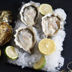 蠔门盛宴 空运进口法国生蚝 N1/N2 12只 皇御奥斯特拉鲜活即食刺身牡蛎