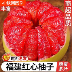正宗老树红心柚子红肉蜜柚现摘琯溪当季新鲜水果香甜多汁整箱包邮