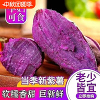 移动端：新鲜沙地紫薯板栗紫罗兰番薯红薯紫心蜜薯地瓜蔬菜软糯香甜