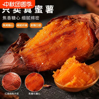 移动端：新鲜糖心烟25红薯板栗红薯番薯地瓜蜜薯山芋烟薯蔬菜当季紫心