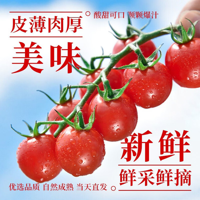 今日必买：8折于之前推荐！串收小番茄新品玲珑串 净重1kg