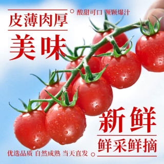 今日必买:8折于之前推荐!串收小番茄新品玲珑串 净重1kg